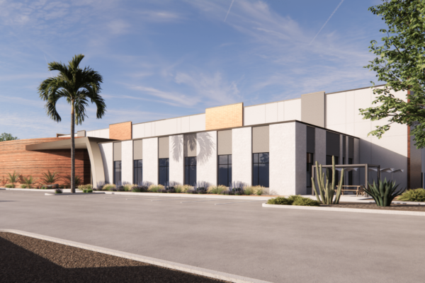 white stucco modern building with cacti and palm tree landscaping